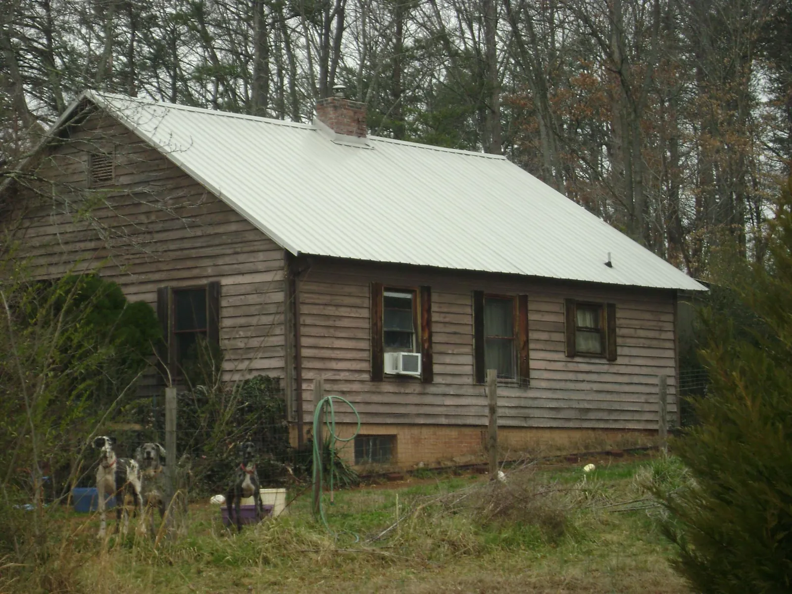 White metal roof on an old wood sided farmhouse, from a Asphalt Shingle Roof Repair job in Mineola